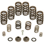 P7100 Governor Spring Kit 4000rpm Dodge 12-valve Cummins 1994-1998